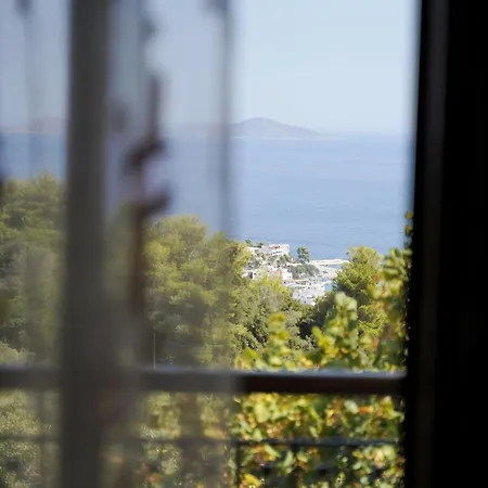 Villa Vatellis *