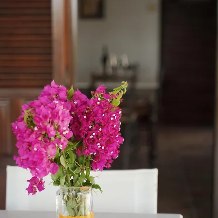 别墅 瓦迪里斯别墅酒店 *