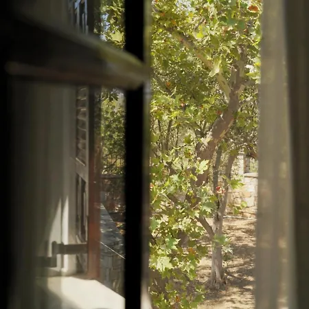 瓦迪里斯别墅酒店 别墅 帕蒂迪里奥