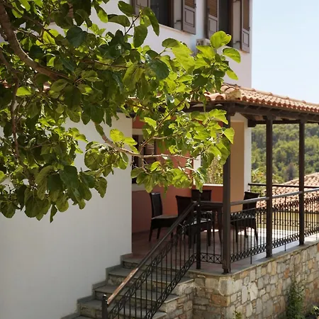 瓦迪里斯别墅酒店 别墅