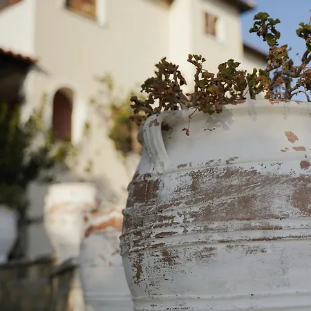 别墅 瓦迪里斯别墅酒店 *