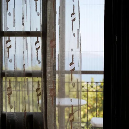 瓦迪里斯别墅酒店 *