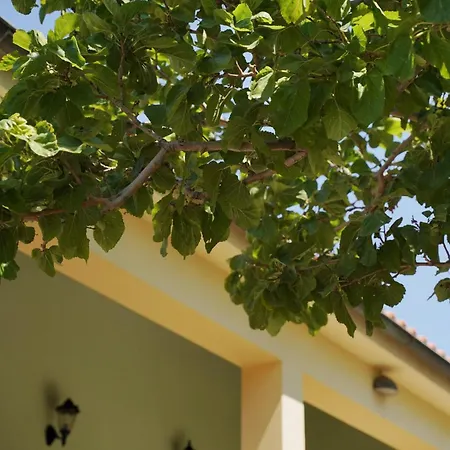 瓦迪里斯别墅酒店 * 帕蒂迪里奥