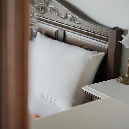 瓦迪里斯别墅酒店 别墅