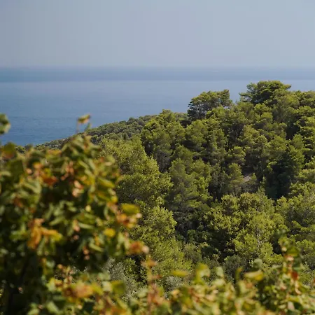别墅 瓦迪里斯别墅酒店 *